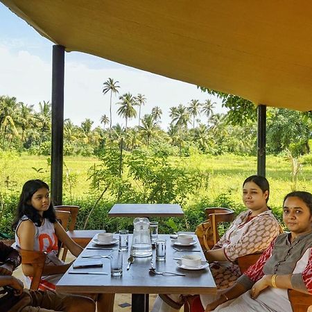 Shunyachi Lotusfeet Hotel Morjim Exterior foto