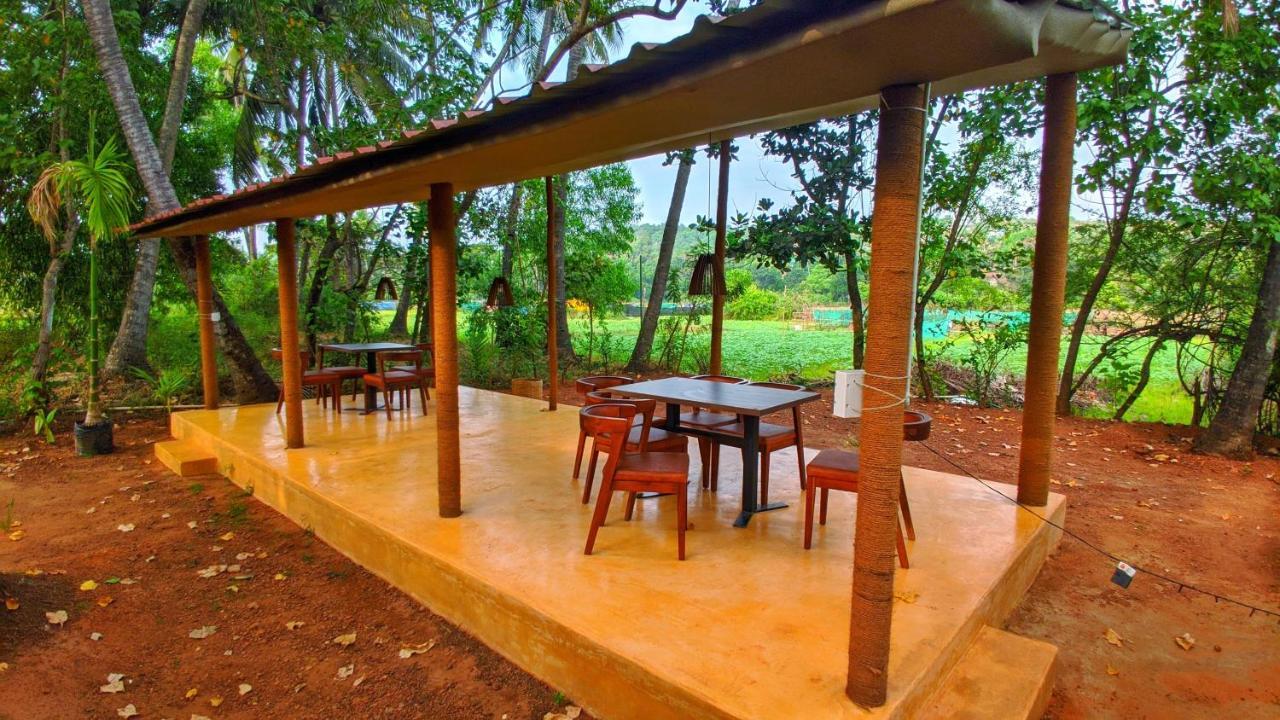 Shunyachi Lotusfeet Hotel Morjim Exterior foto